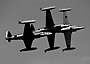 t33