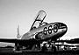 t33